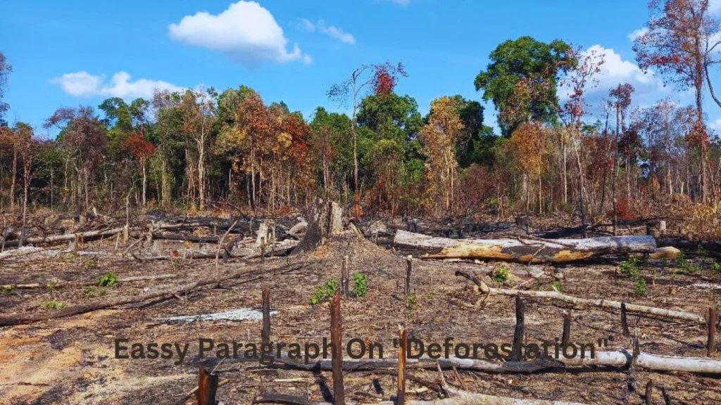 Eassy Paragraph On "Deforestation"